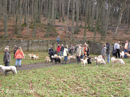 Neujahrsspaziergang