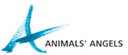 Animals Angels